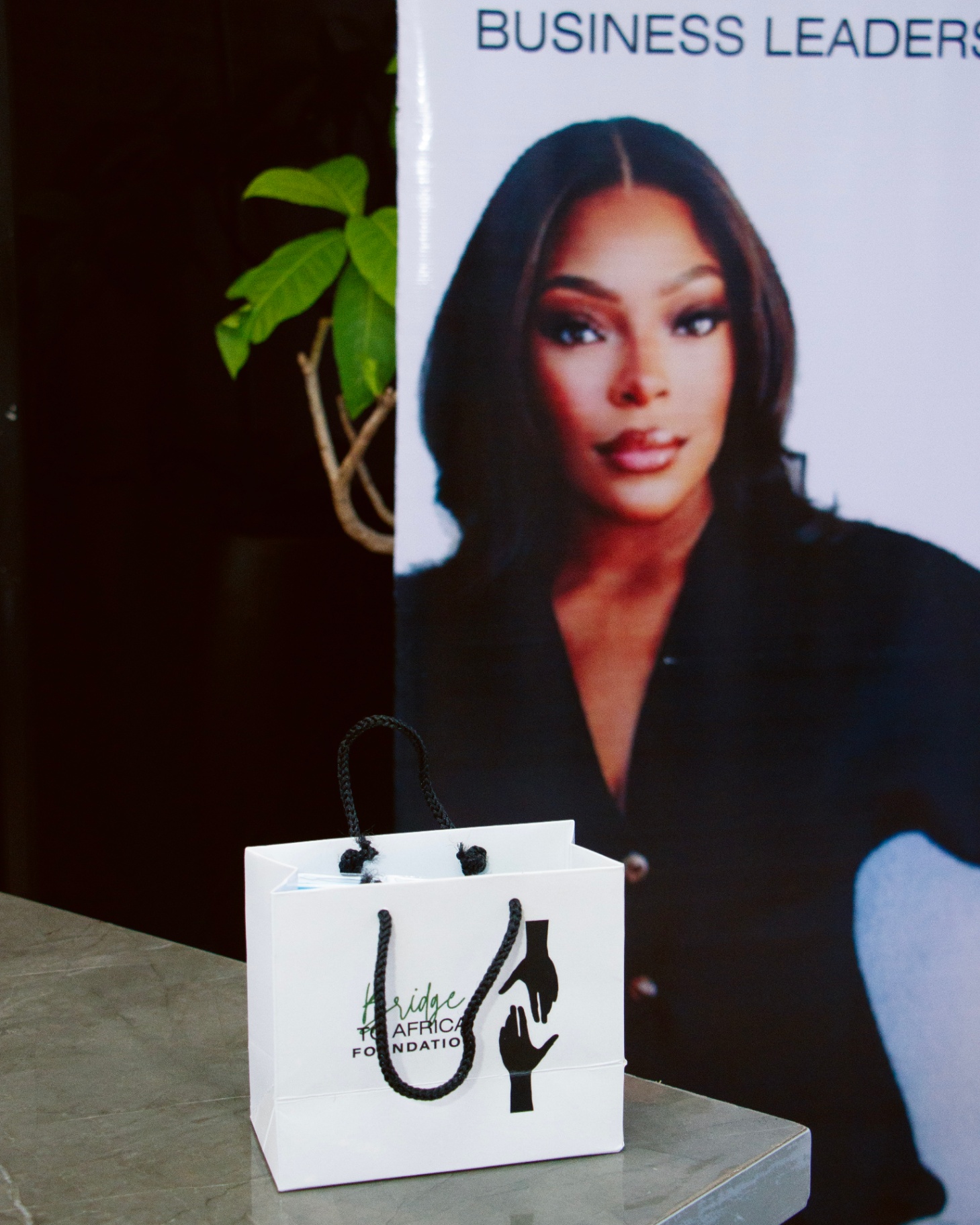 Bridge to Africa Foundation gift bag in front of an event banner